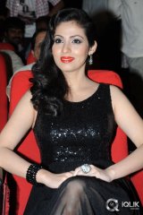 Sadha at Yamaleela 2 Movie Audio Launch